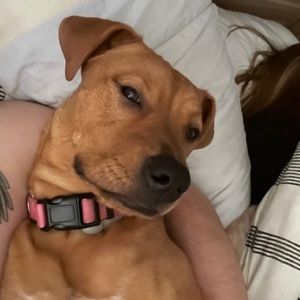 Meet your Posher, Trey